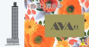 AVA 61特色圖片